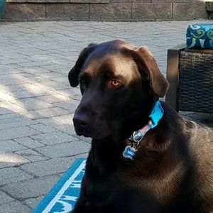 Meet your Posher, Pamela